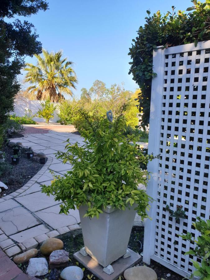 Roosboom Guest Apartments Somerset West Esterno foto